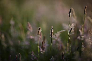 《赛博朋克2077》新路径追踪Mod演示 画面太逼真